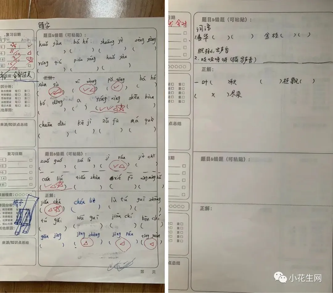 为什么可靠的篮球技术指导对初学者很重要?_1